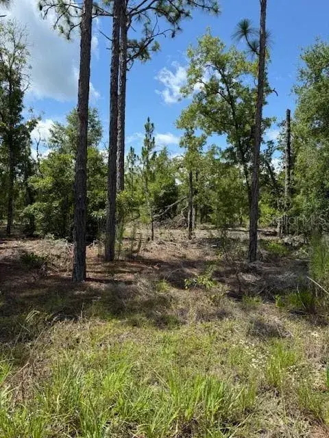 Property for sale at 111 S DAKOTA STREET, HAWTHORNE, FL, 32640