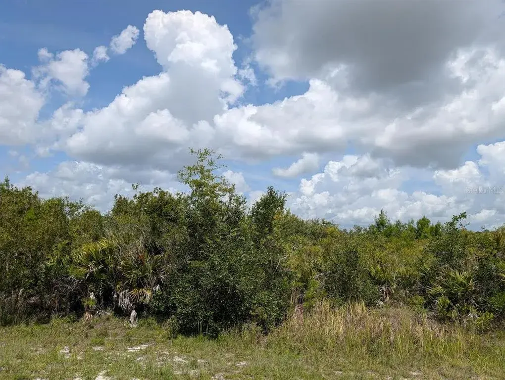 Property for sale at ST PETERSBURG DRIVE, INDIAN LAKE ESTATES, FL, 33855