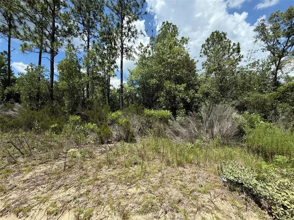 Property for sale at 187 PARIS STREET, INTERLACHEN, FL, 32148