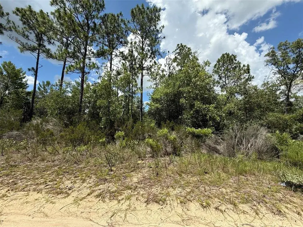 Property for sale at 187 PARIS STREET, INTERLACHEN, FL, 32148