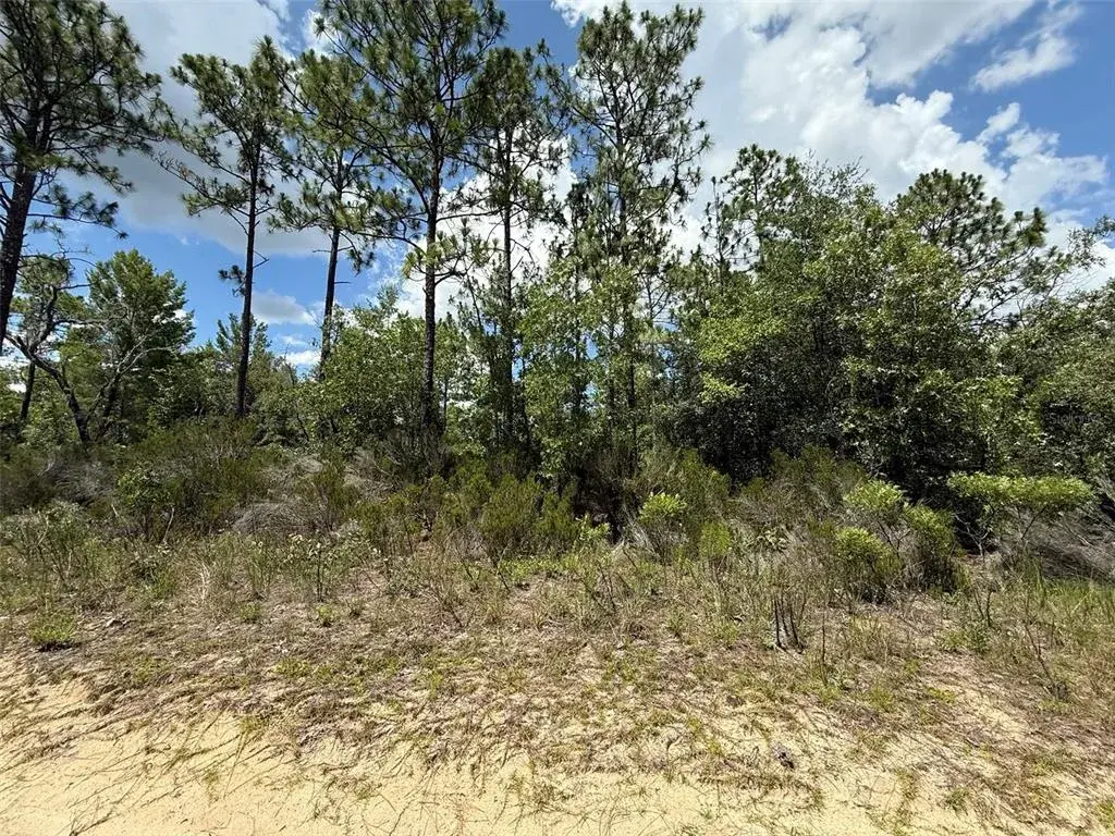 Property for sale at 187 PARIS STREET, INTERLACHEN, FL, 32148