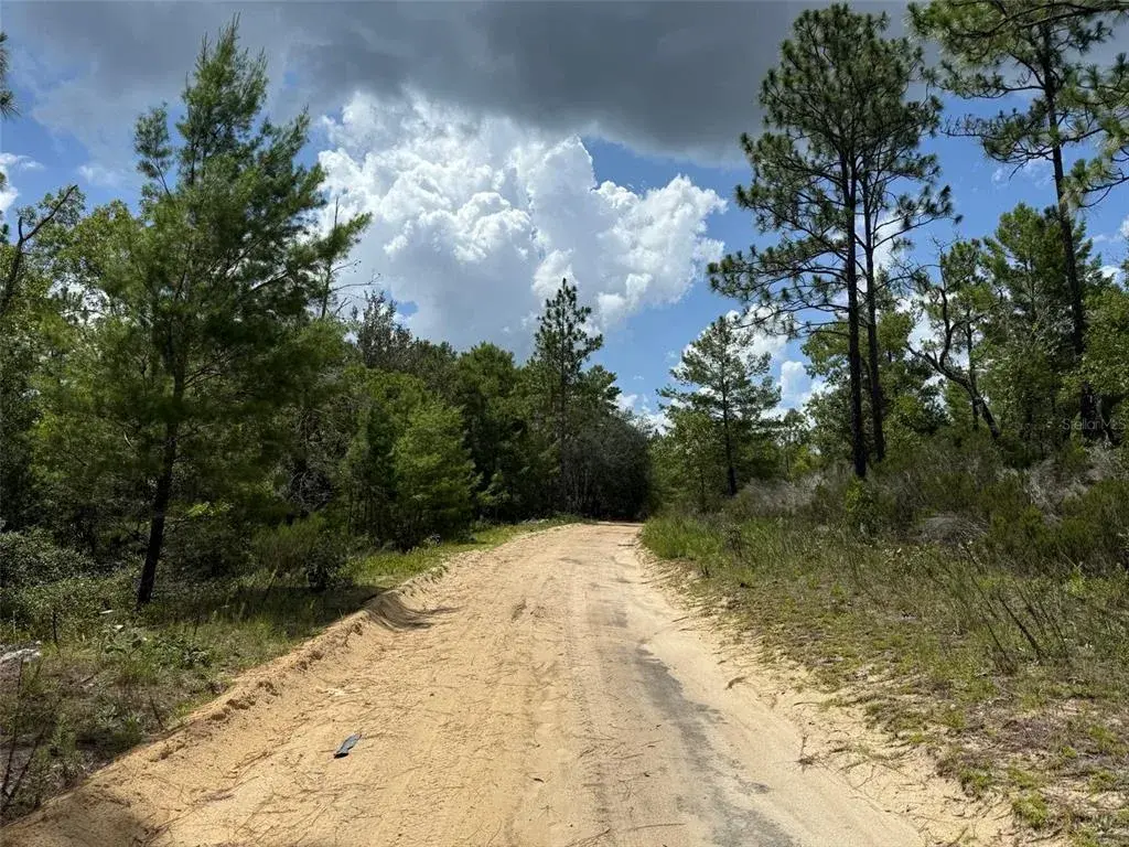 Property for sale at 187 PARIS STREET, INTERLACHEN, FL, 32148