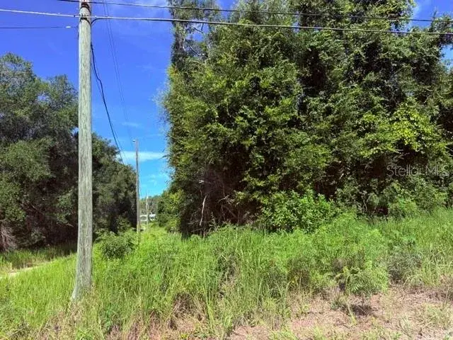 Property for sale at NE 249TH COURT, SALT SPRINGS, FL, 32134