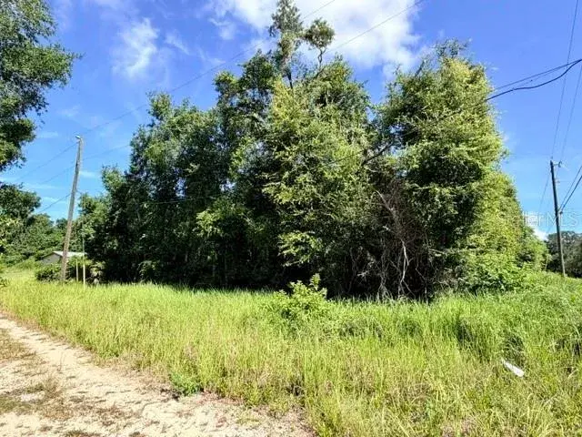 Property for sale at NE 249TH COURT, SALT SPRINGS, FL, 32134