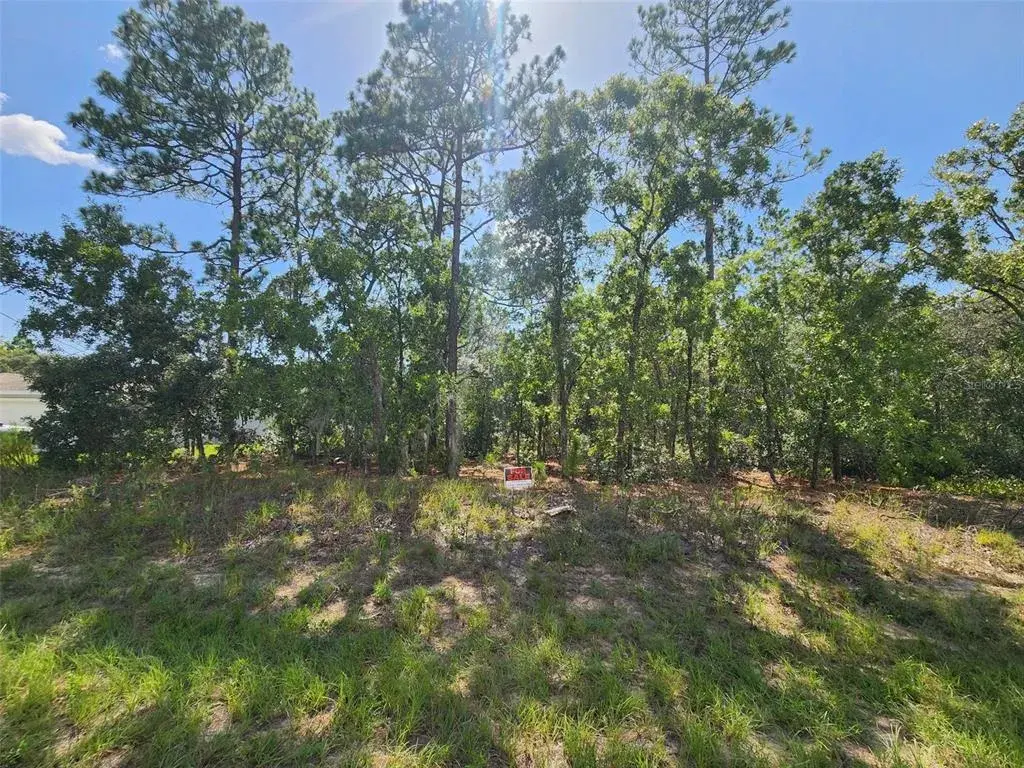 Property for sale at 9712 N LOVELL DR, DUNNELLON, FL, 34433