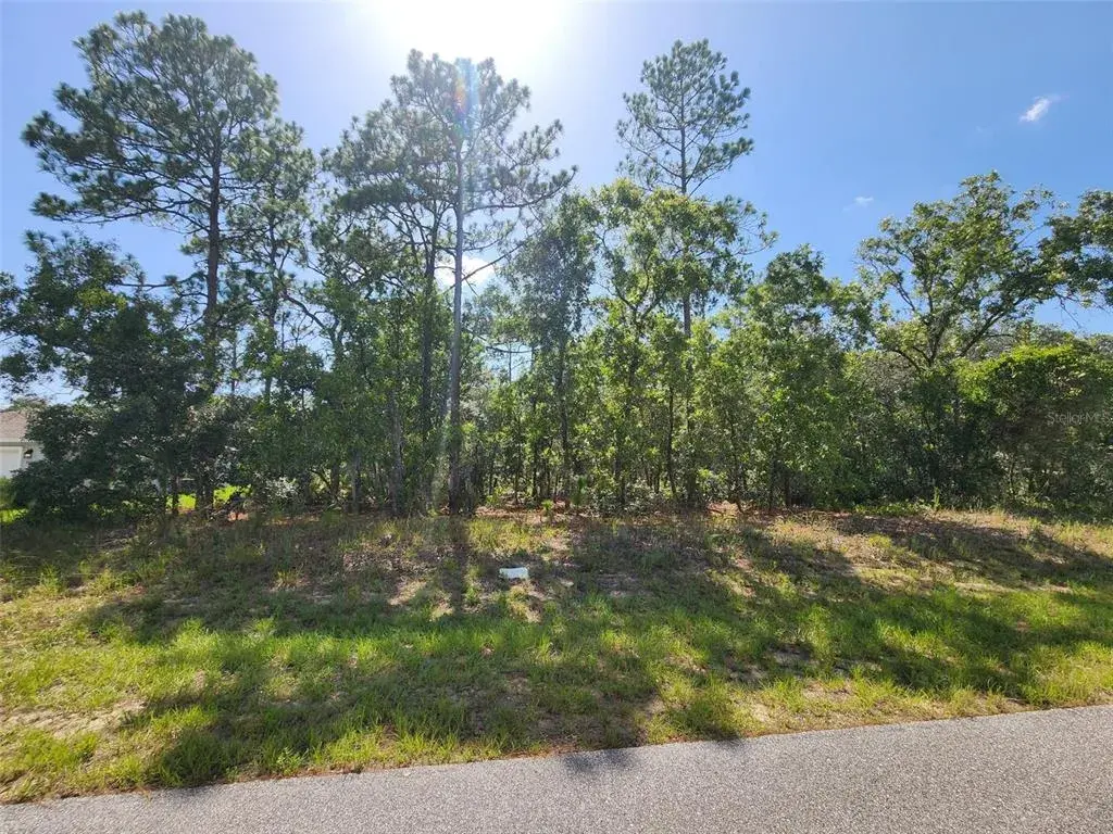Property for sale at 9712 N LOVELL DR, DUNNELLON, FL, 34433