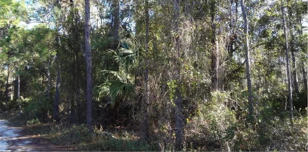 Property for sale at 12TH AVE, DELAND, FL, 32724