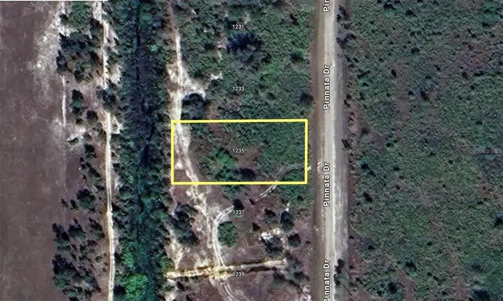 Property for sale at 1235 PINNATA DRIVE, INDIAN LAKE ESTATES, FL, 33855