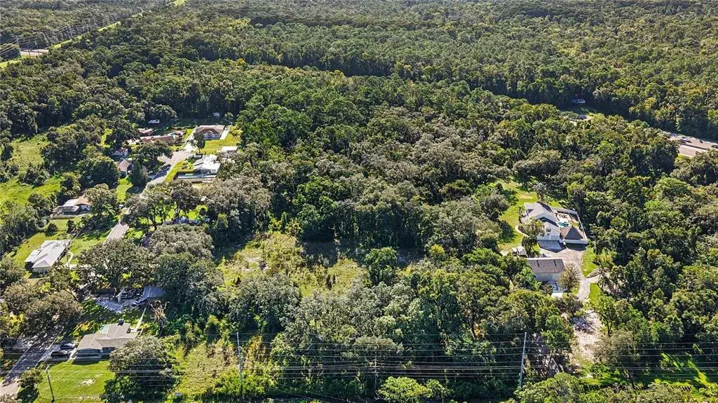Property for sale at LIVINGSTON AVE, LUTZ, FL, 33559
