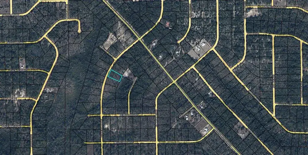 Property for sale at TBD TEQUESTA DRIVE, MARIANNA, FL, 32448