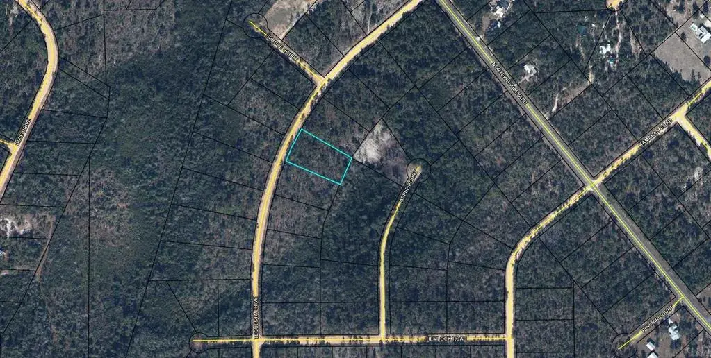 Property for sale at TBD TEQUESTA DRIVE, MARIANNA, FL, 32448