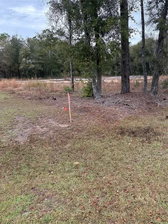 Property for sale at SW 202ND CT &SW 63RD PL, DUNNELLON, FL, 34434