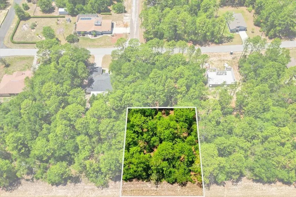Property for sale at 10858 N ELKCAM BOULEVARD, CITRUS SPRINGS, FL, 34433