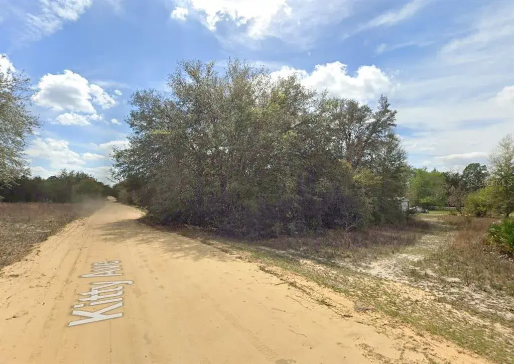 Property for sale at 821 KITTY AVENUE, INTERLACHEN, FL, 32148