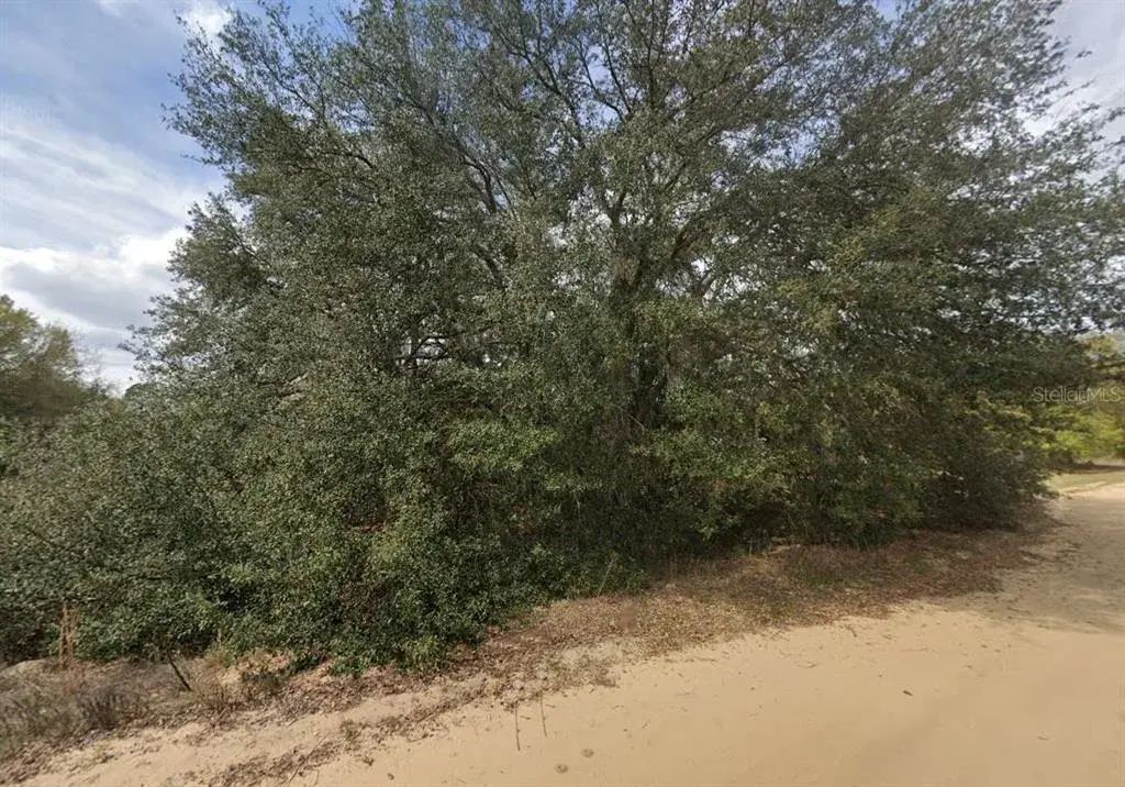 Property for sale at 821 KITTY AVENUE, INTERLACHEN, FL, 32148