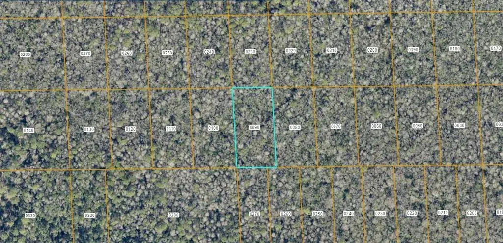 Property for sale at 7106-01-15-0090 NO STREET, DELAND, FL, 32724