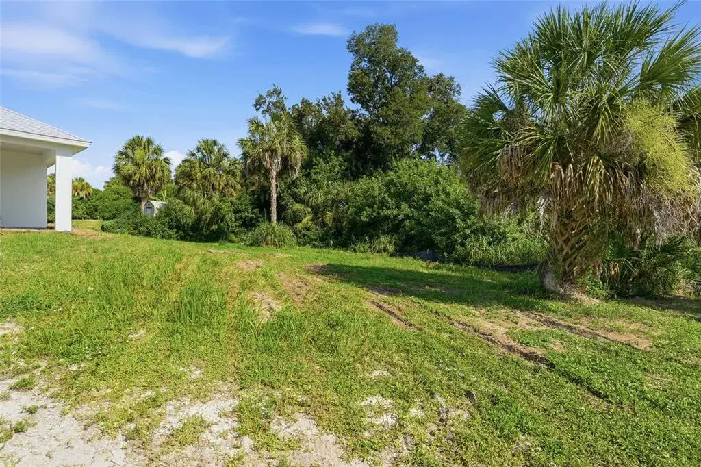 Spacious Back Yard