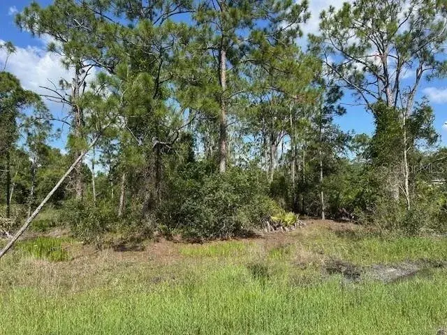 Property for sale at 13036 APACHE DRIVE, PUNTA GORDA, FL, 33955