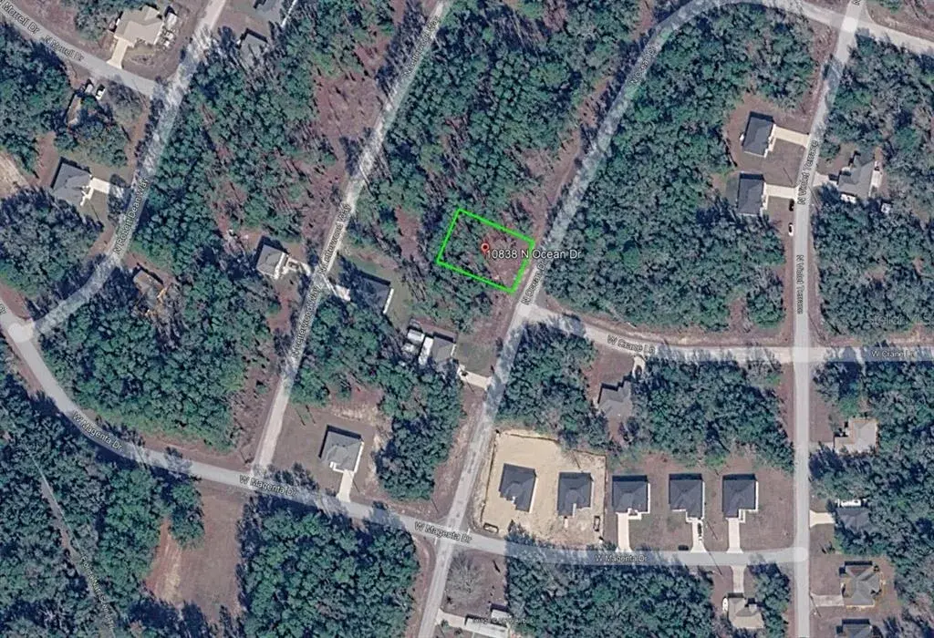 Property for sale at 10838 N OCEAN DRIVE, CITRUS SPRINGS, FL, 34434