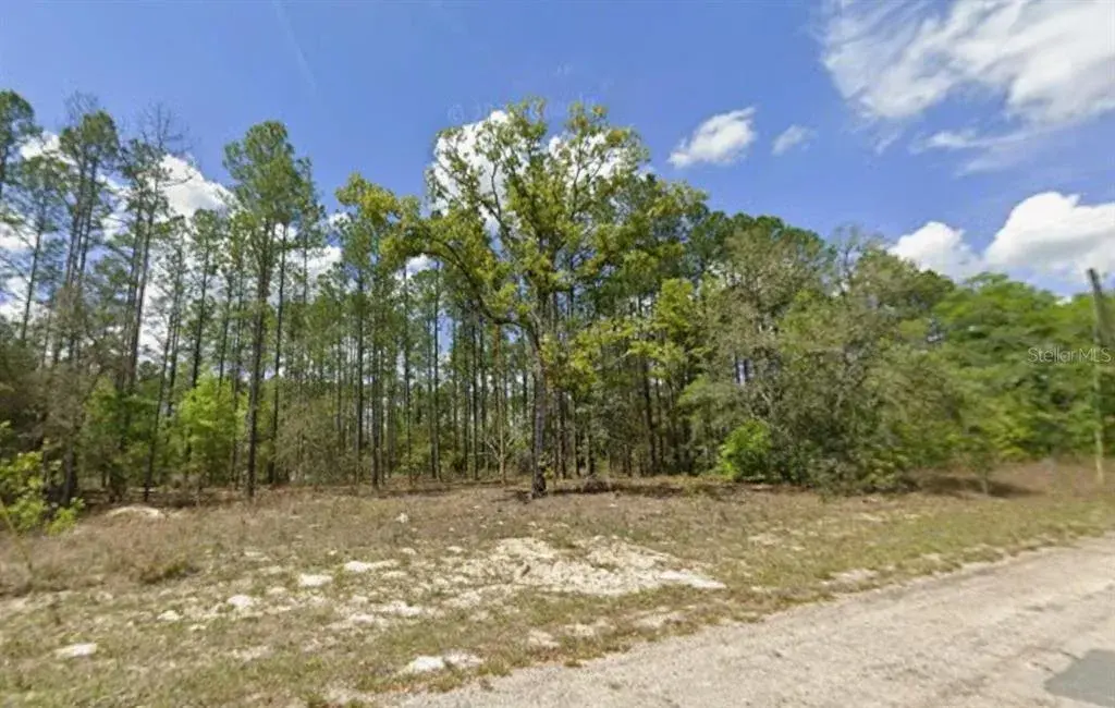 Property for sale at 10838 N OCEAN DRIVE, CITRUS SPRINGS, FL, 34434