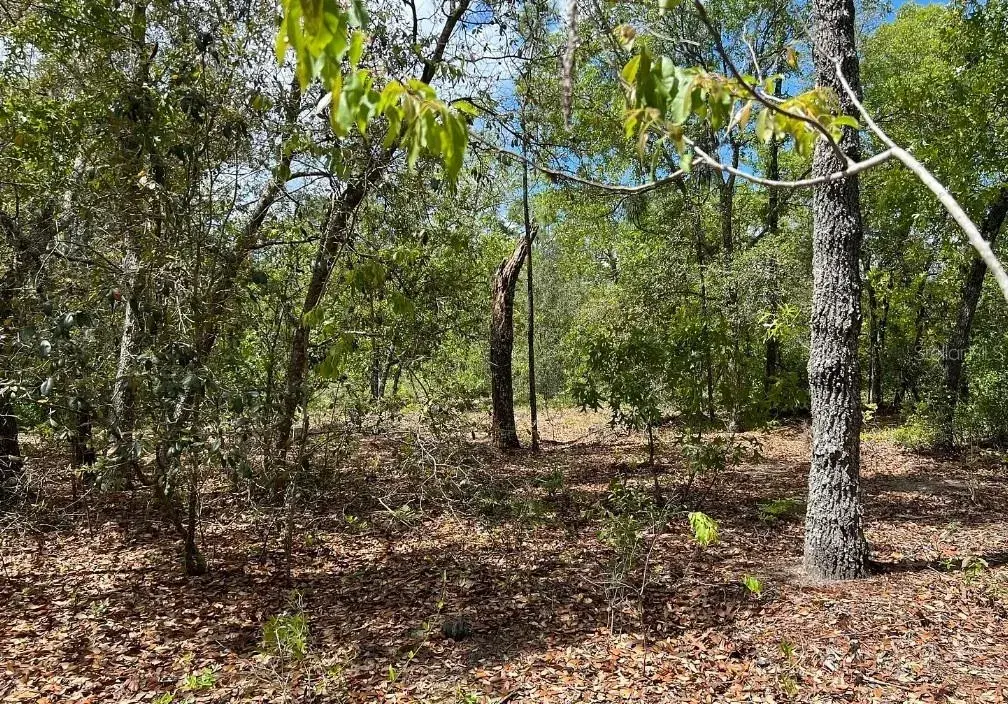 Property for sale at 0000 LADY BUG LANE, MELROSE, FL, 32666