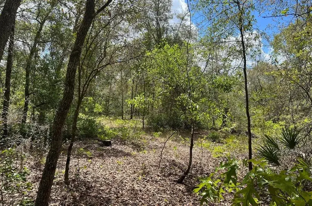 Property for sale at 0000 LADY BUG LANE, MELROSE, FL, 32666