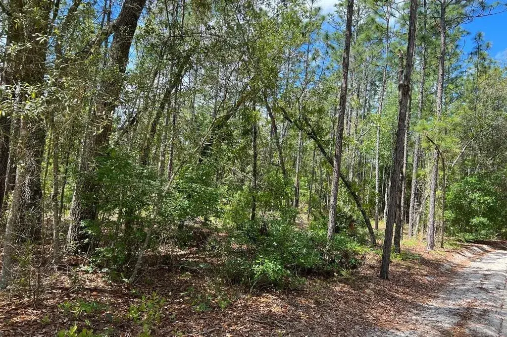 Property for sale at 0000 LADY BUG LANE, MELROSE, FL, 32666
