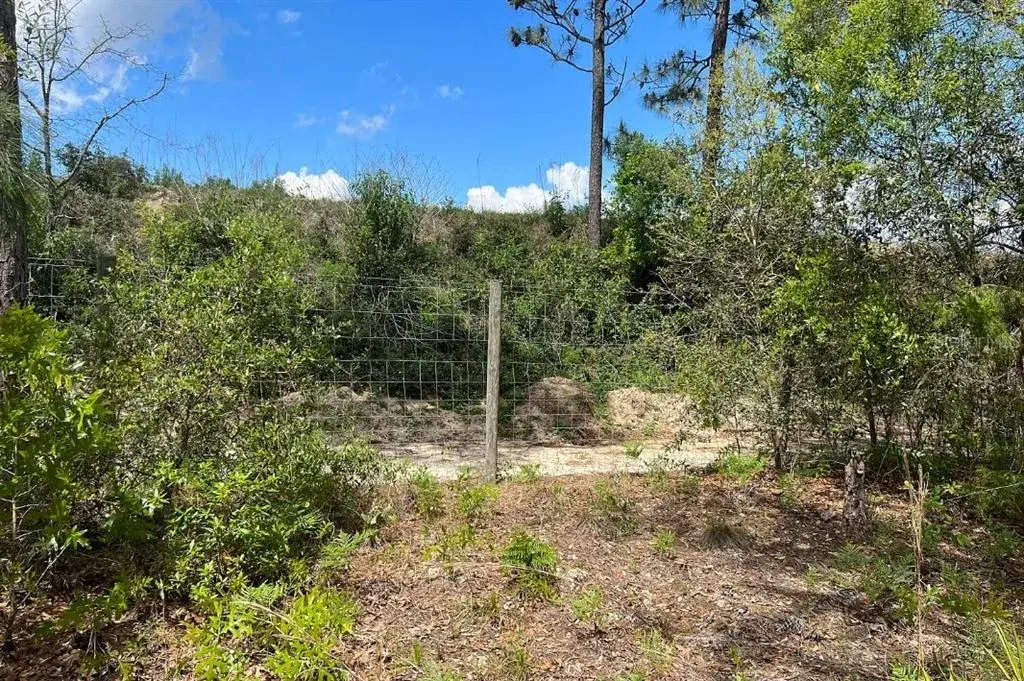 Property for sale at 0000 LADY BUG LANE, MELROSE, FL, 32666