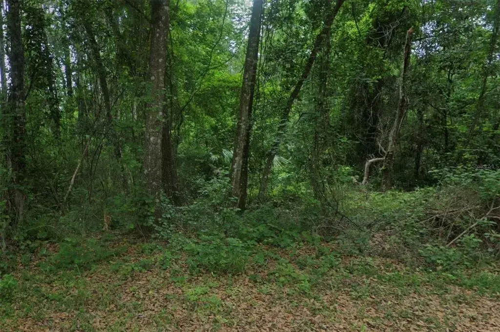 Property for sale at 102 RIDGELINE AVENUE, SATSUMA, FL, 32189