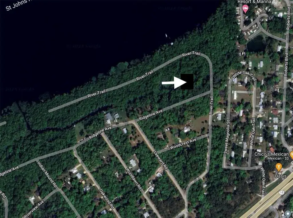 Property for sale at 102 RIDGELINE AVENUE, SATSUMA, FL, 32189