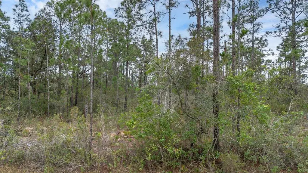Property for sale at 209 EL DORADO DRIVE, INDIAN LAKE ESTATES, FL, 33855