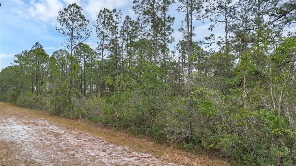 Property for sale at 209 EL DORADO DRIVE, INDIAN LAKE ESTATES, FL, 33855