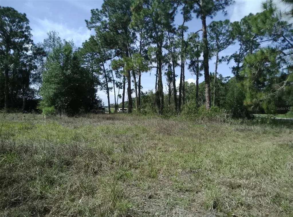 Property for sale at 705 HORSE CLUB AVENUE, CLEWISTON, FL, 33440