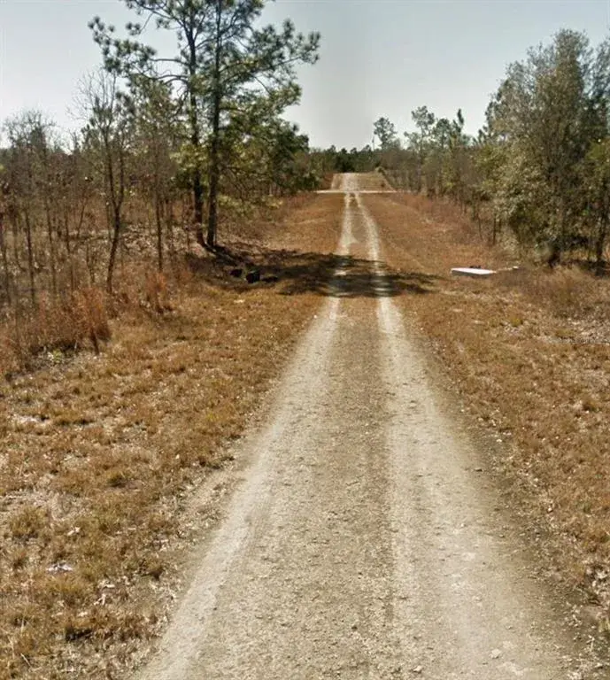 Property for sale at SE 23RD PLACE, MORRISTON, FL, 32668