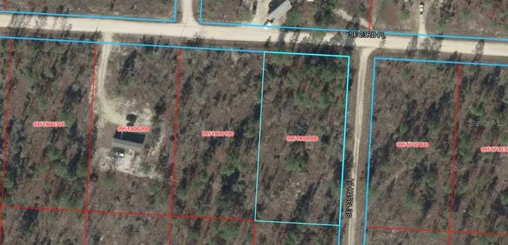 Property for sale at SE 23RD PLACE, MORRISTON, FL, 32668