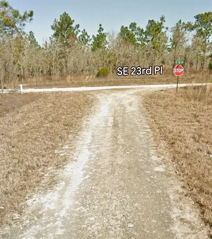 Property for sale at SE 23RD PLACE, MORRISTON, FL, 32668