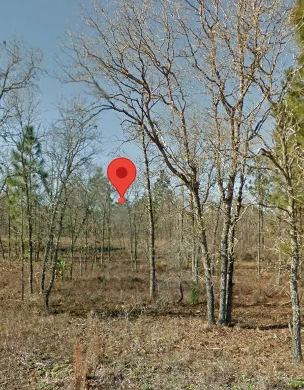 Property for sale at SE 23RD PLACE, MORRISTON, FL, 32668