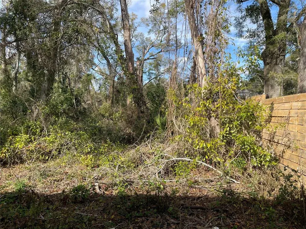 Property for sale at lot 1 NW 135TH TERRACE, ALACHUA, FL, 32615