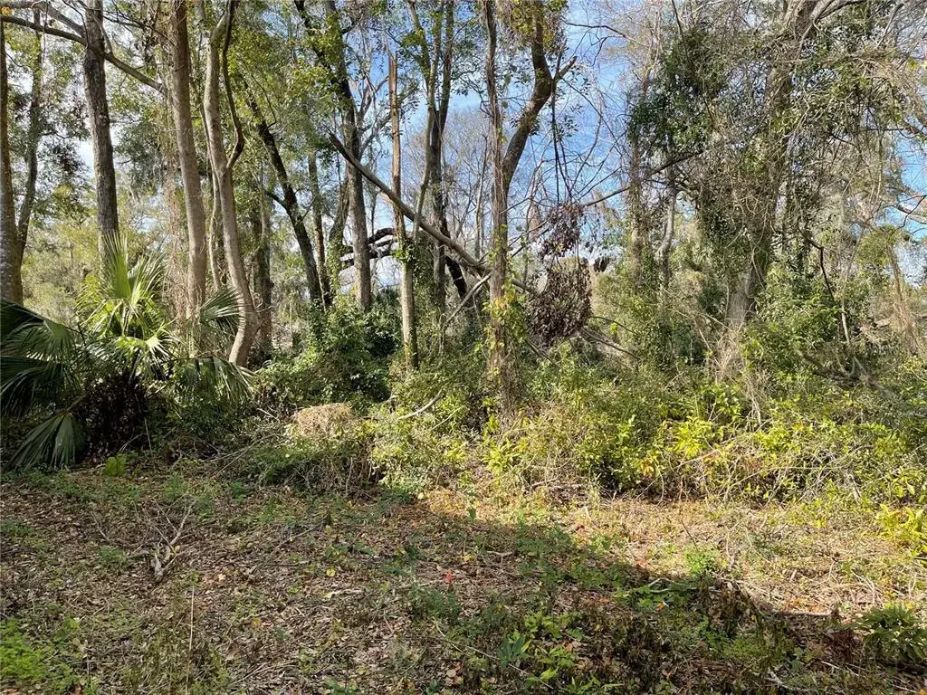 Property for sale at lot 1 NW 135TH TERRACE, ALACHUA, FL, 32615