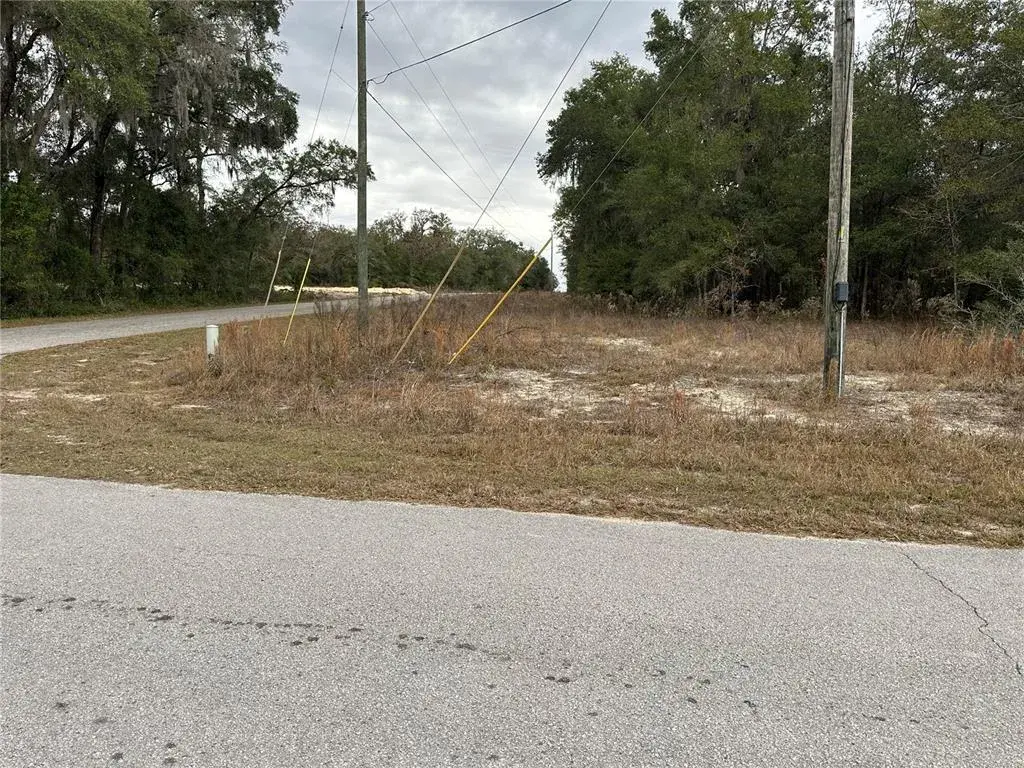 Property for sale at SW SHOREWOOD DRIVE, DUNNELLON, FL, 34431