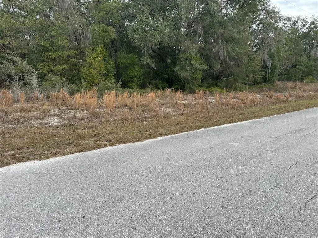 Property for sale at SW SHOREWOOD DRIVE, DUNNELLON, FL, 34431