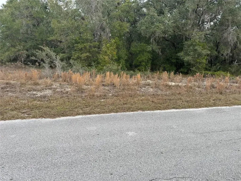 Property for sale at SW SHOREWOOD DRIVE, DUNNELLON, FL, 34431
