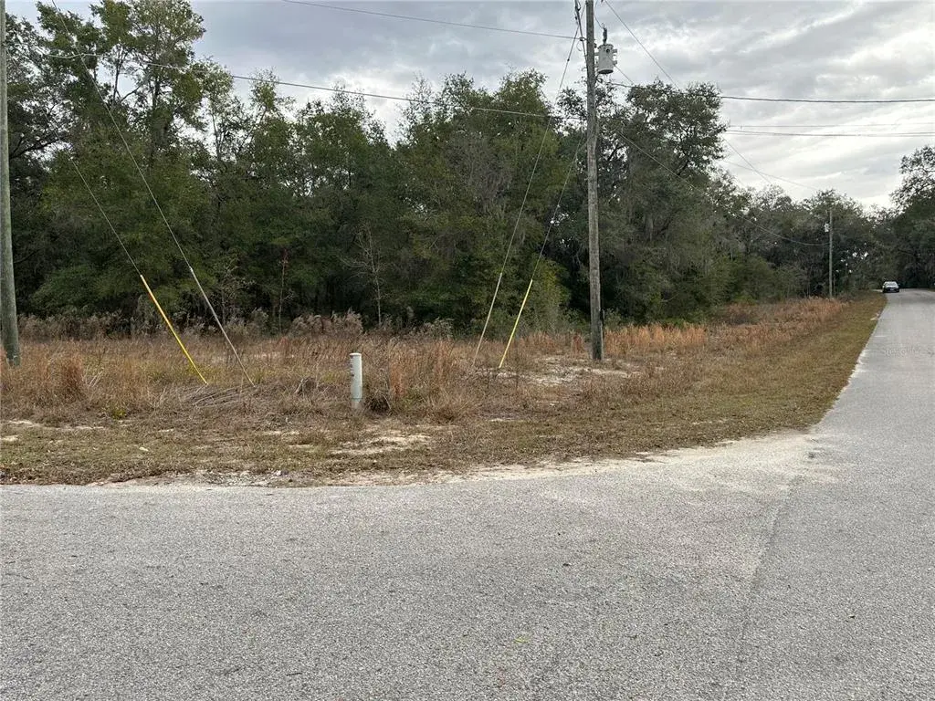 Property for sale at SW SHOREWOOD DRIVE, DUNNELLON, FL, 34431
