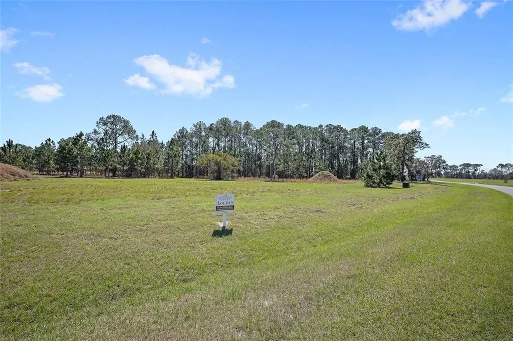 Property for sale at 38514 WOODED MEADOW DRIVE, UMATILLA, FL, 32784