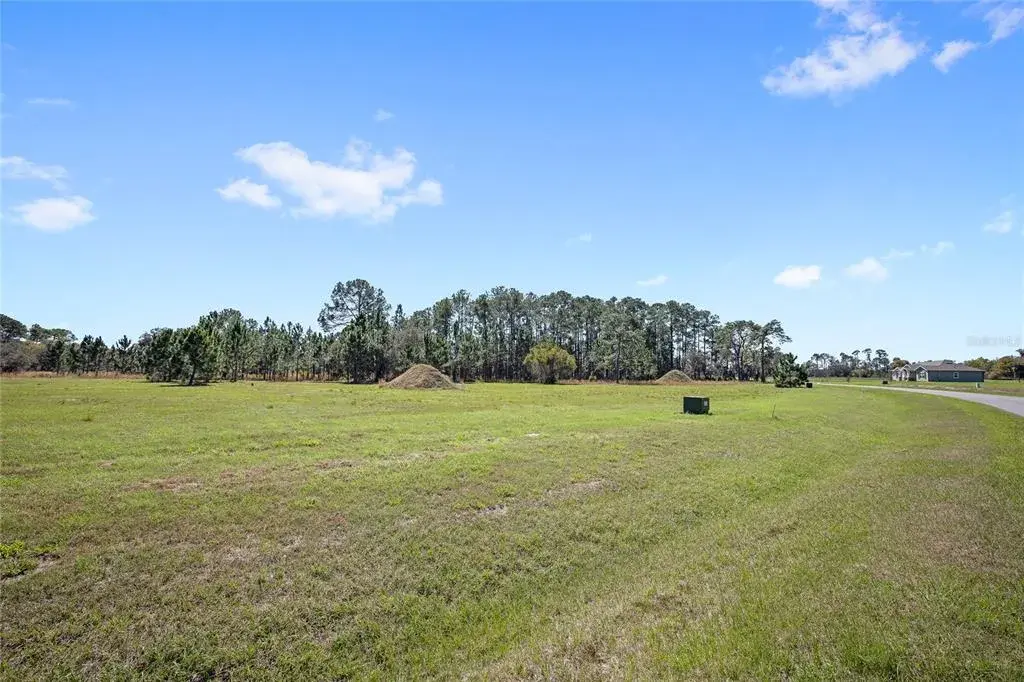 Property for sale at 38514 WOODED MEADOW DRIVE, UMATILLA, FL, 32784