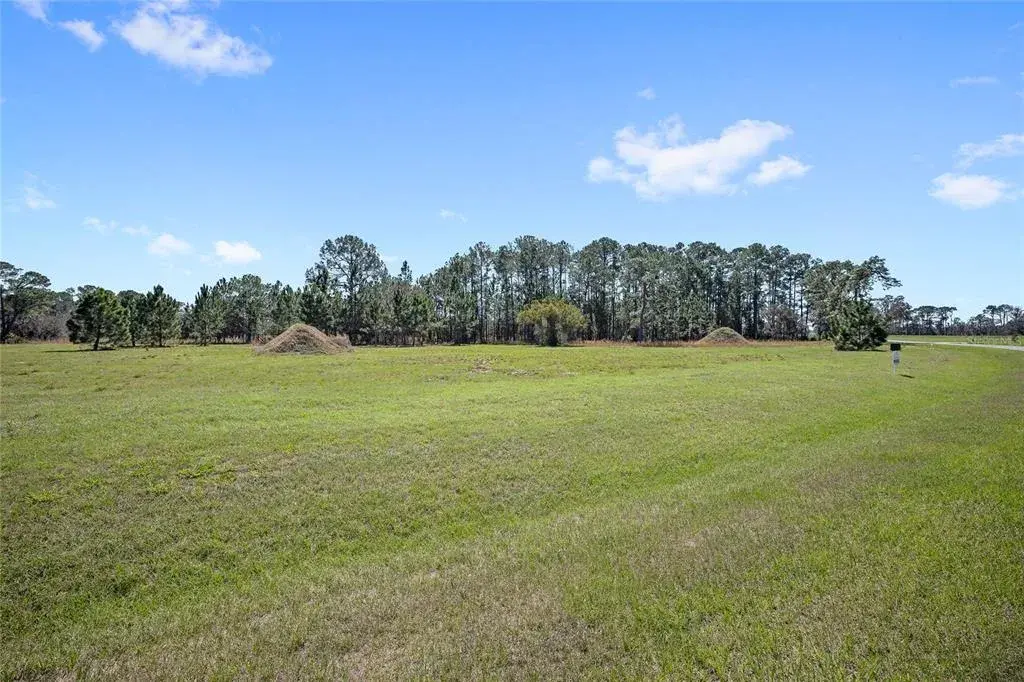 Property for sale at 38514 WOODED MEADOW DRIVE, UMATILLA, FL, 32784