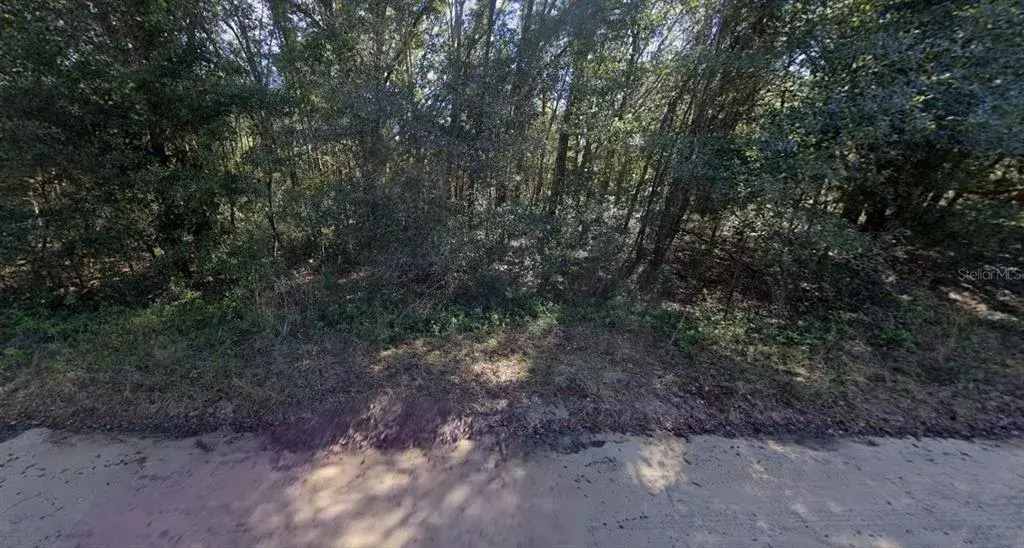 Property for sale at LLOYD DRIVE, INTERLACHEN, FL, 32148