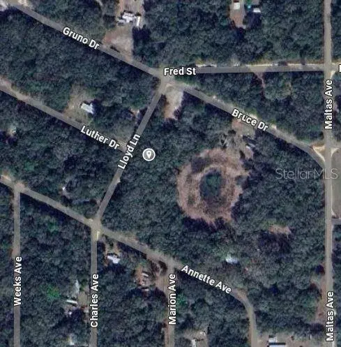 Property for sale at LLOYD DRIVE, INTERLACHEN, FL, 32148
