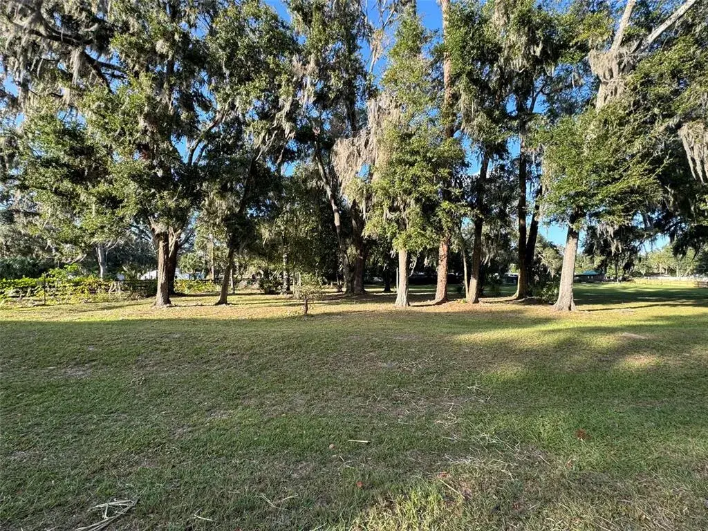 Property for sale at 0 W HIGHWAY 318, CITRA, FL, 32113