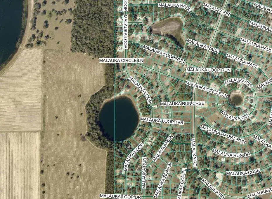 Property for sale at MALAUKA RUN, OCKLAWAHA, FL, 32179